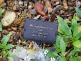 image of grave number 913751
